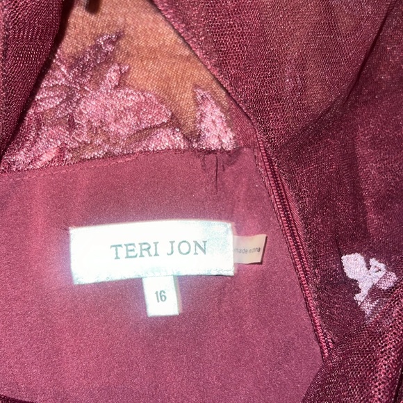 TERI JON BEADED APPLIQUÉ GOWN: NEW WITH TAG - Picture 6 of 10